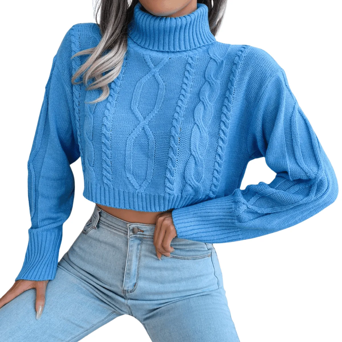 Knit Turtleneck Crop Sweater For Women