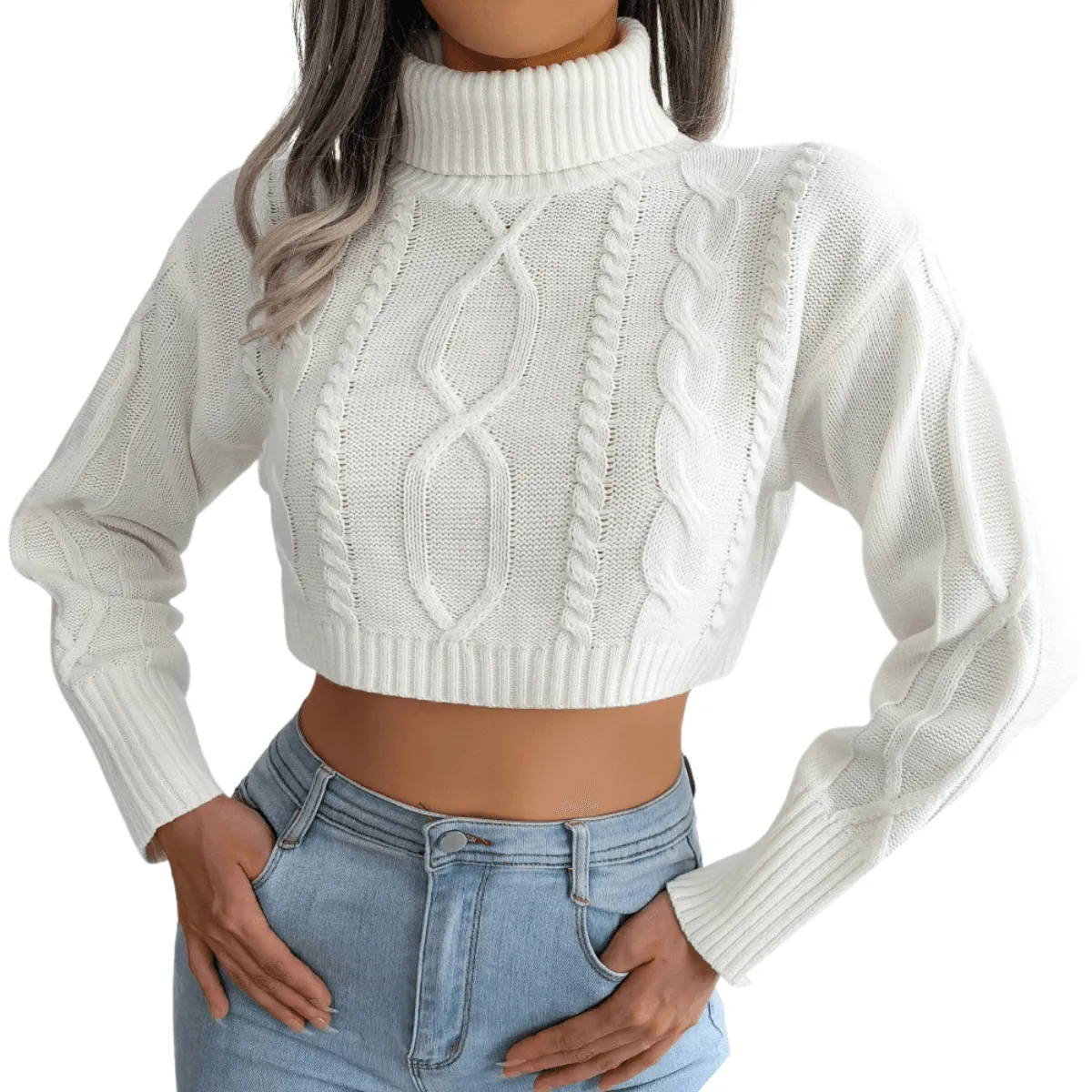 Knit Turtleneck Crop Sweater For Women