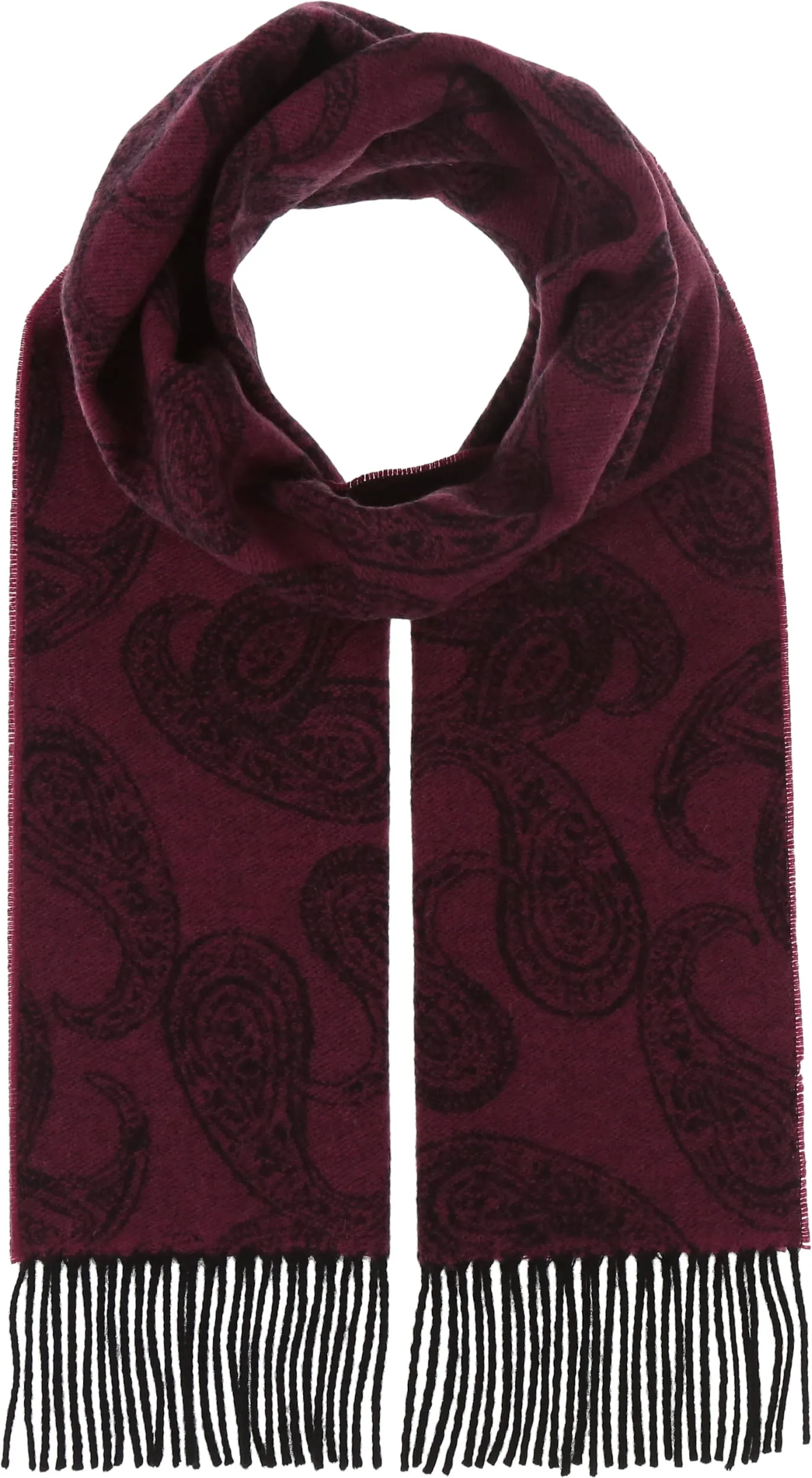 Paisley Cashmere Woven Scarf