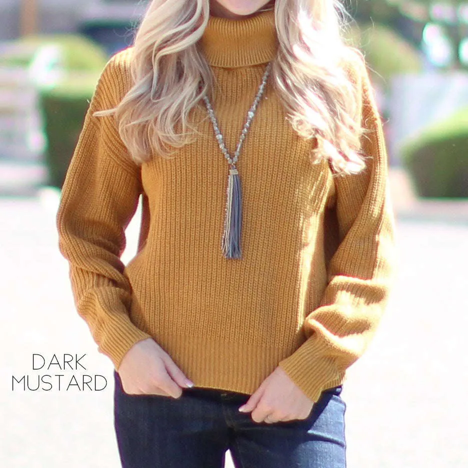 Winter Turtleneck Sweater